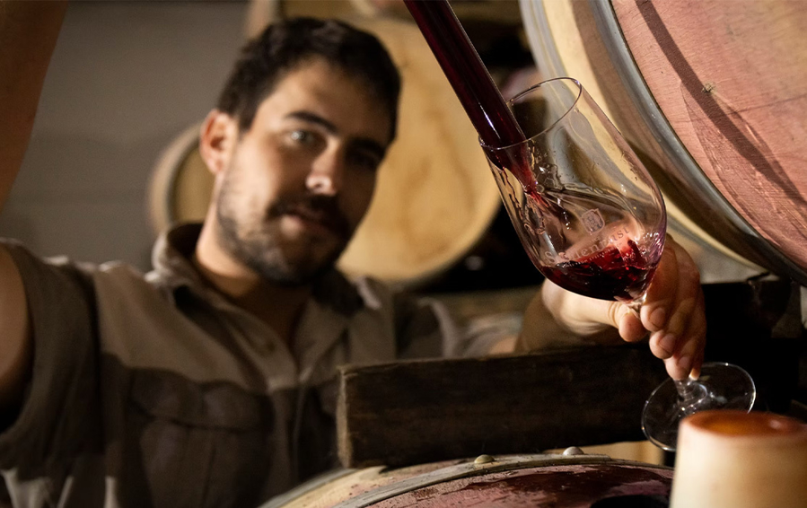 Νότια Αφρική στο Ποτήρι